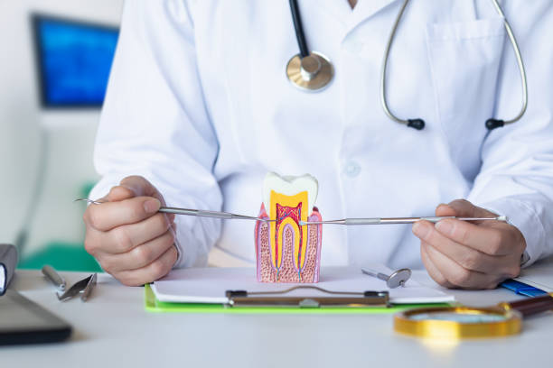 Best Emergency Dental Extractions in Pine Island, TX